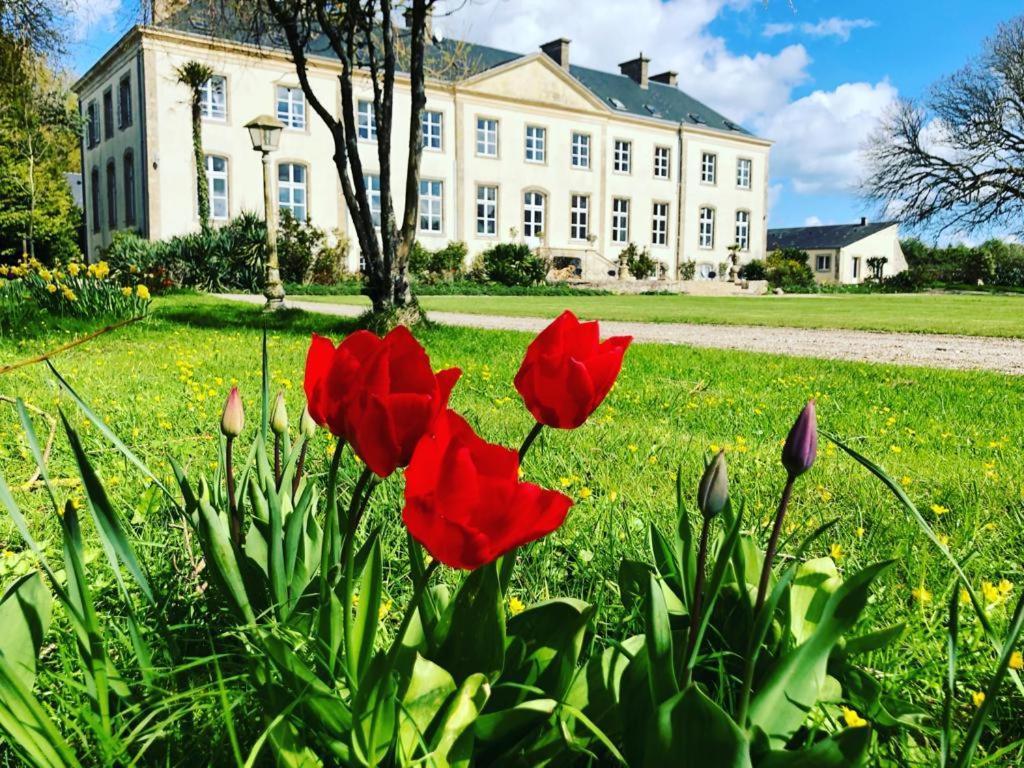 Hôtel du Château de Quinéville Exterior foto